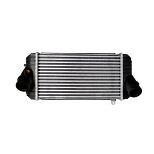 Chladič vzduchu Intercooler Hyundai Santa Fe III (DM/DMA) 12-17 2.0 2.2